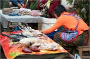 14781_Luang Prabang